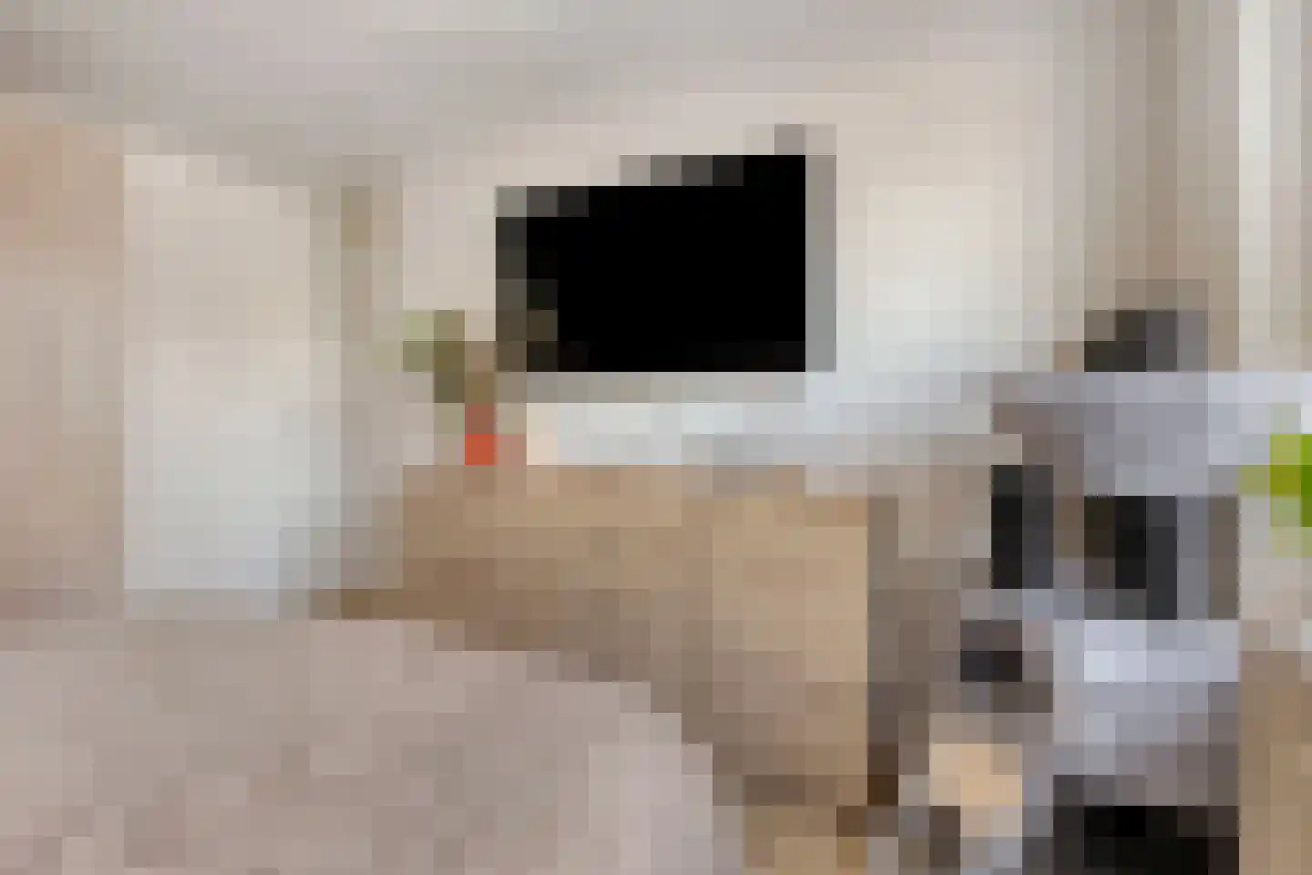 Dokter Plaslaan 24 Ammerzoden thumbnail 23