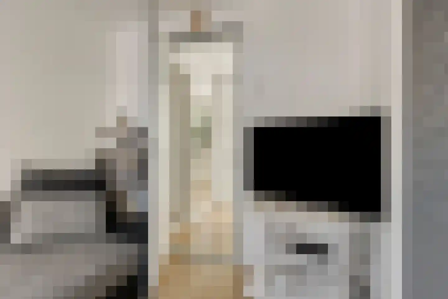 Dokter Plaslaan 24 Ammerzoden thumbnail 26