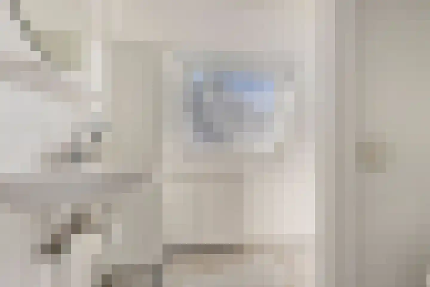 Dokter Plaslaan 24 Ammerzoden thumbnail 27