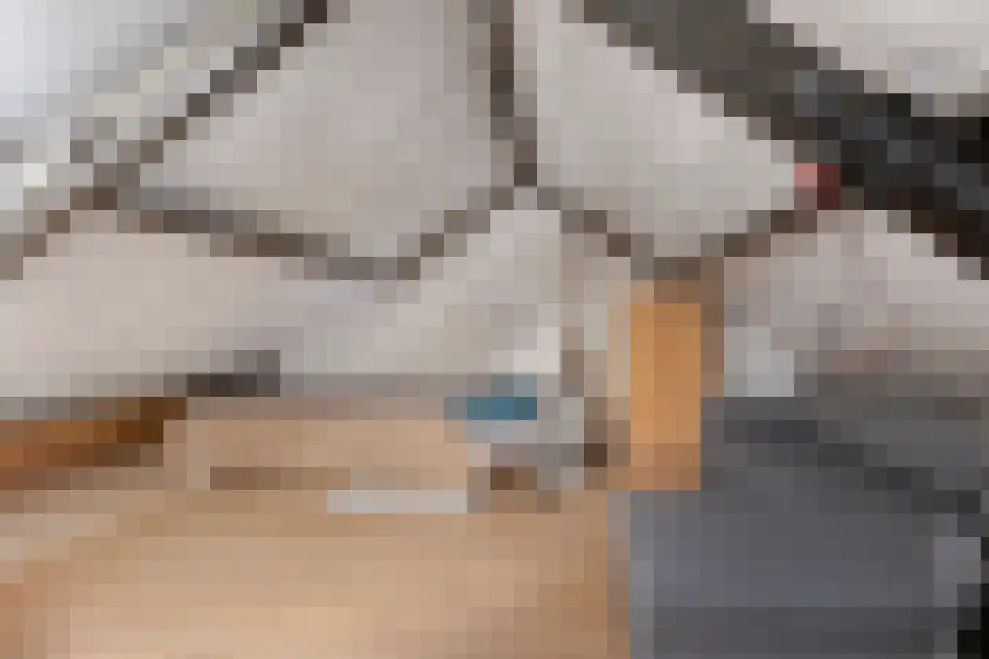 Dokter Plaslaan 24 Ammerzoden thumbnail 30