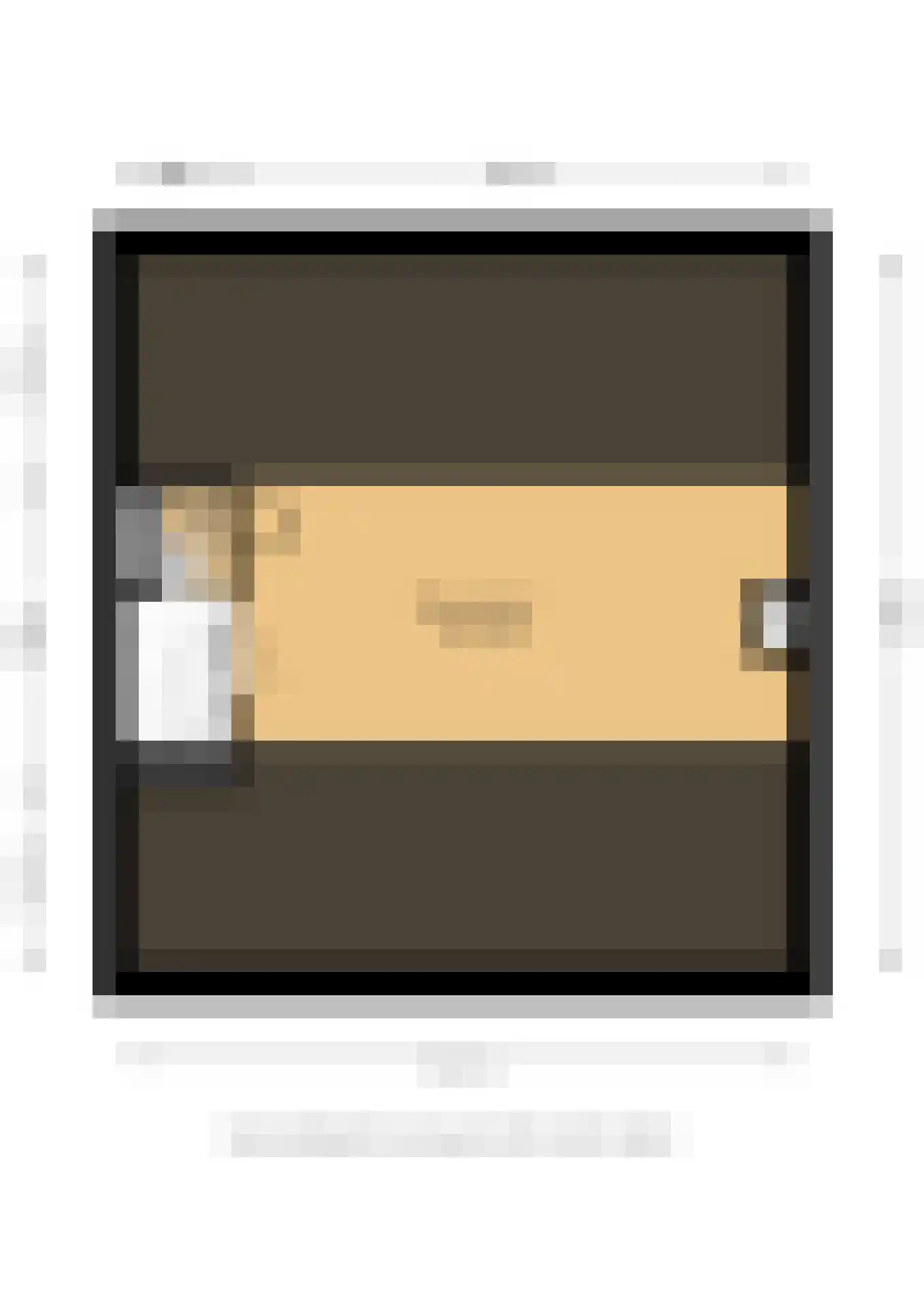 Dokter Plaslaan 24 Ammerzoden thumbnail 41
