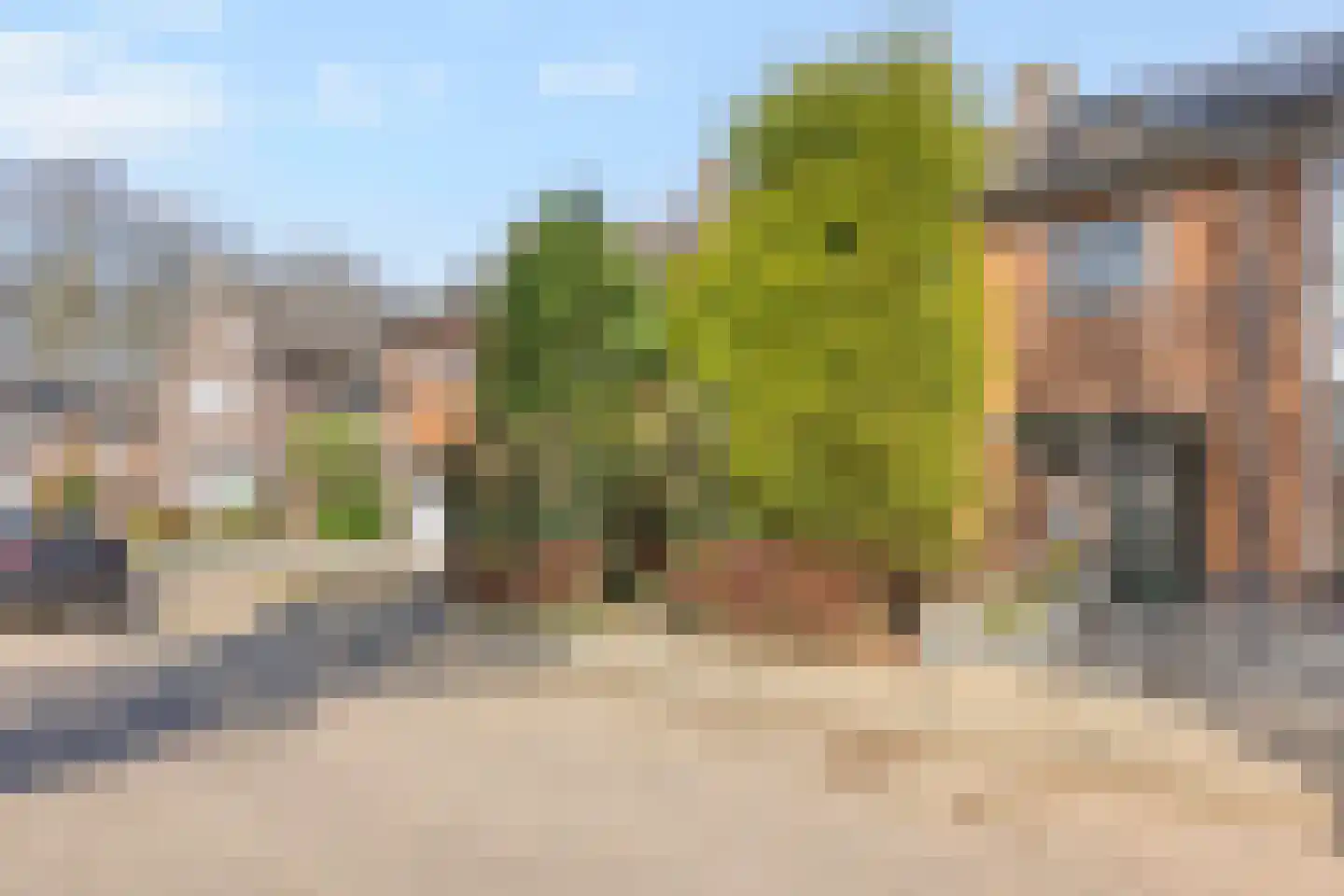 Dokter Plaslaan 24 Ammerzoden thumbnail 5