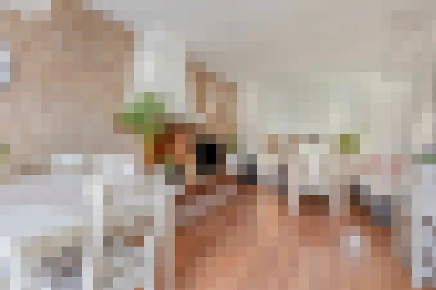 Dokter Plaslaan 24 Ammerzoden thumbnail 7