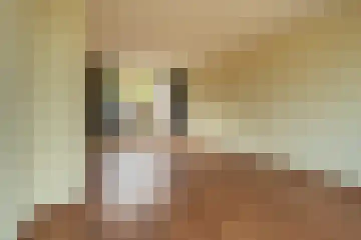 Dokter Plaslaan 3 Ammerzoden thumbnail 15