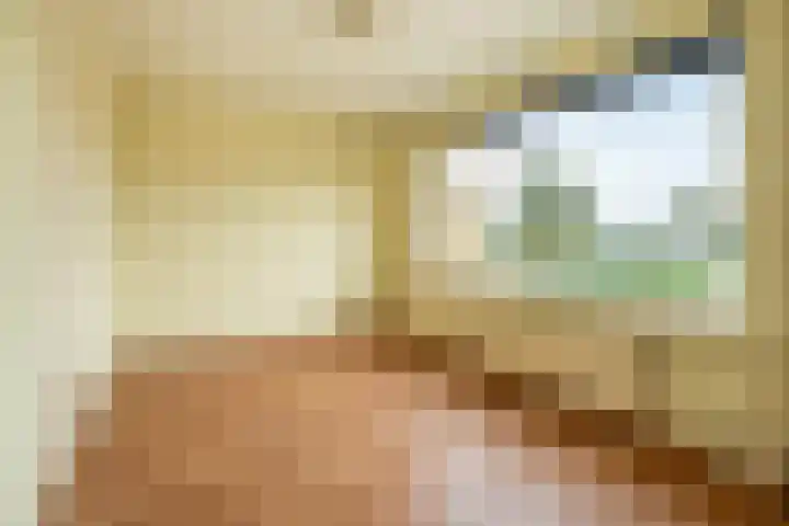 Dokter Plaslaan 3 Ammerzoden thumbnail 21