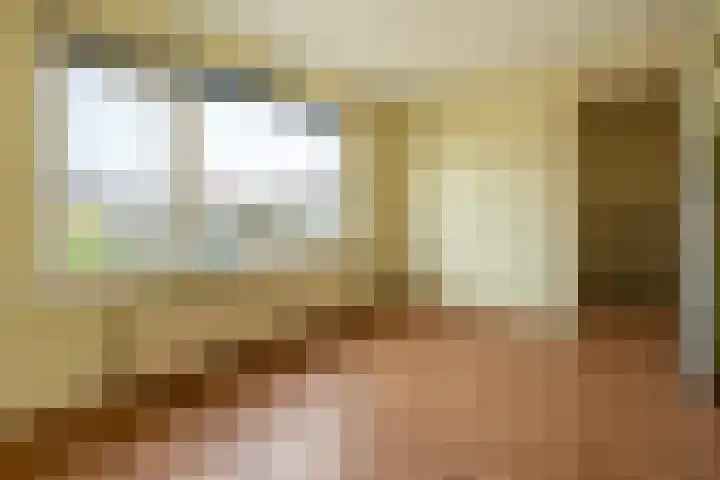 Dokter Plaslaan 3 Ammerzoden thumbnail 22