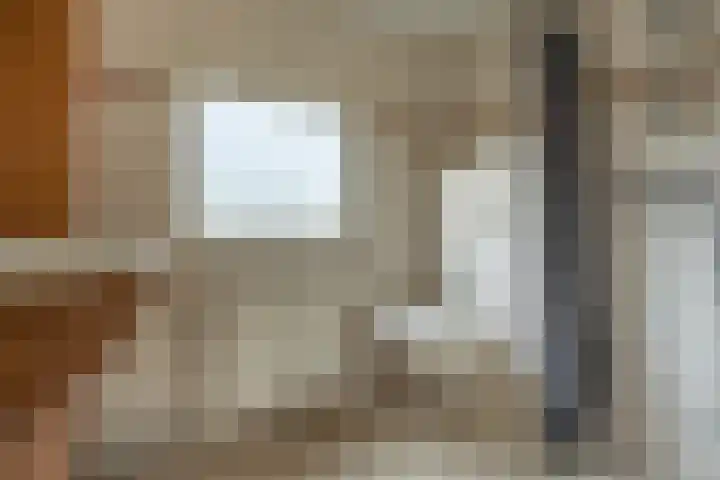 Dokter Plaslaan 3 Ammerzoden thumbnail 23