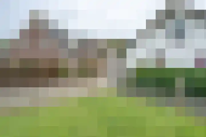 Dokter Plaslaan 3 Ammerzoden thumbnail 27