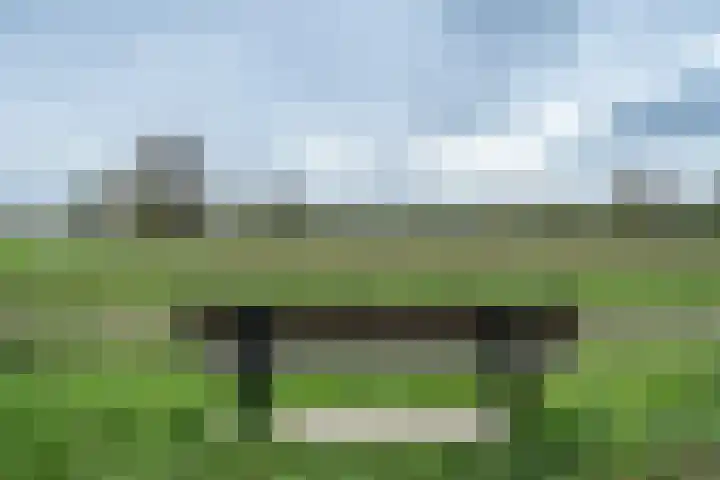 Dokter Plaslaan 3 Ammerzoden thumbnail 28