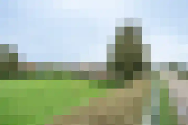 Dokter Plaslaan 3 Ammerzoden thumbnail 29