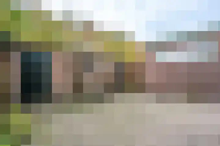 Dokter Plaslaan 3 Ammerzoden foto 3