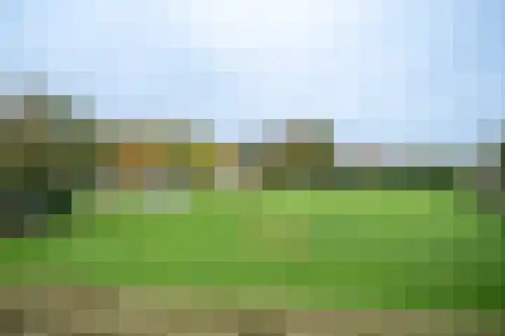 Dokter Plaslaan 3 Ammerzoden thumbnail 30