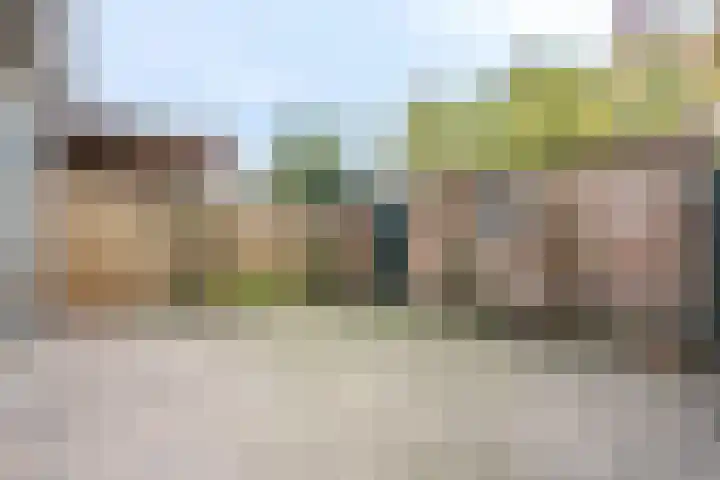 Dokter Plaslaan 3 Ammerzoden thumbnail 4