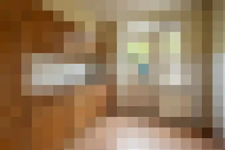 Dokter Plaslaan 3 Ammerzoden thumbnail 9