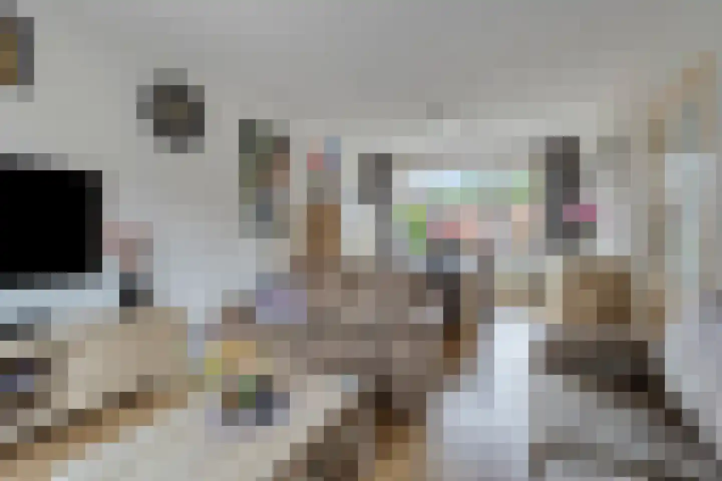 Dokter Plaslaan 43 Ammerzoden thumbnail 10
