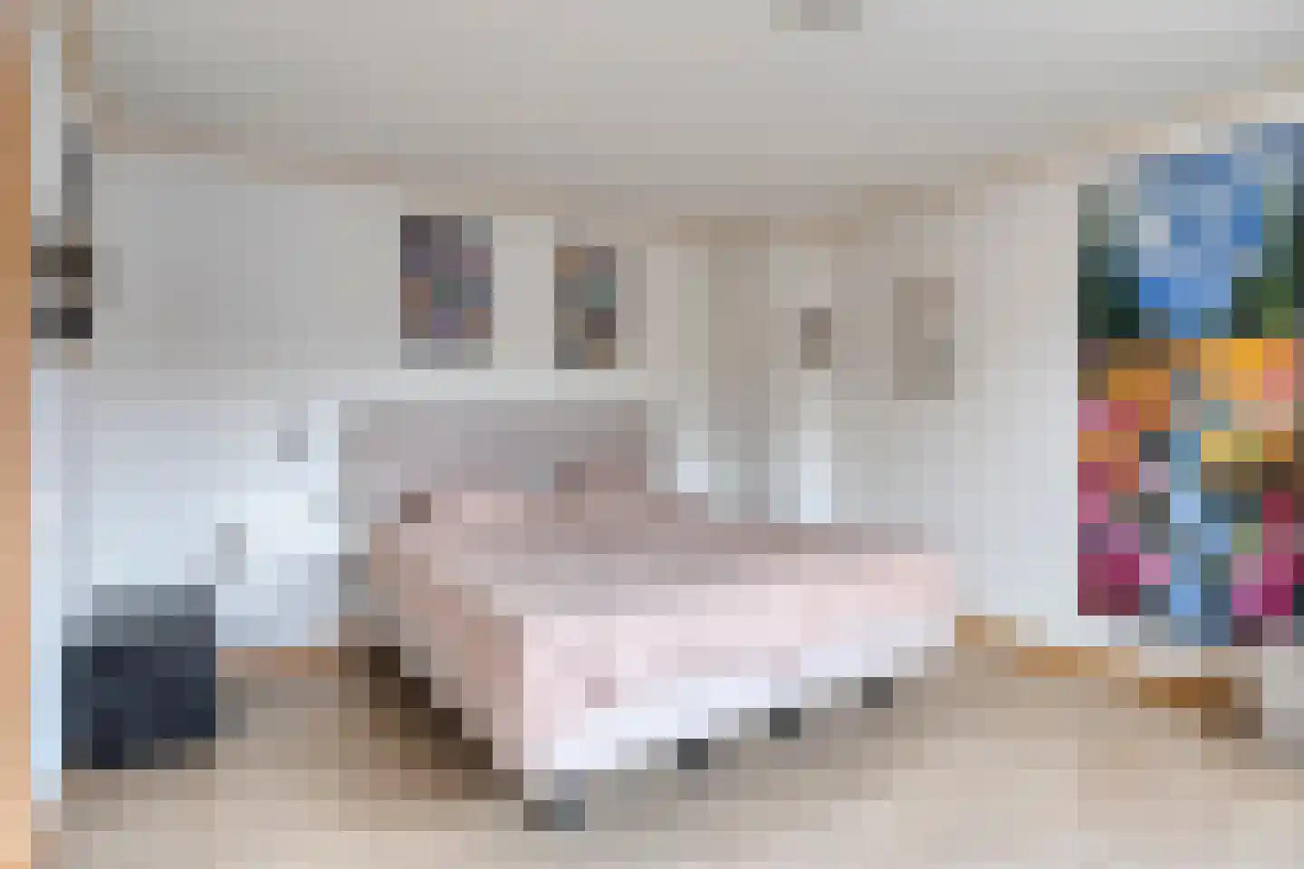 Dokter Plaslaan 43 Ammerzoden thumbnail 17