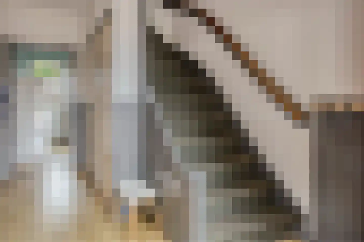 Dokter Plaslaan 43 Ammerzoden thumbnail 7