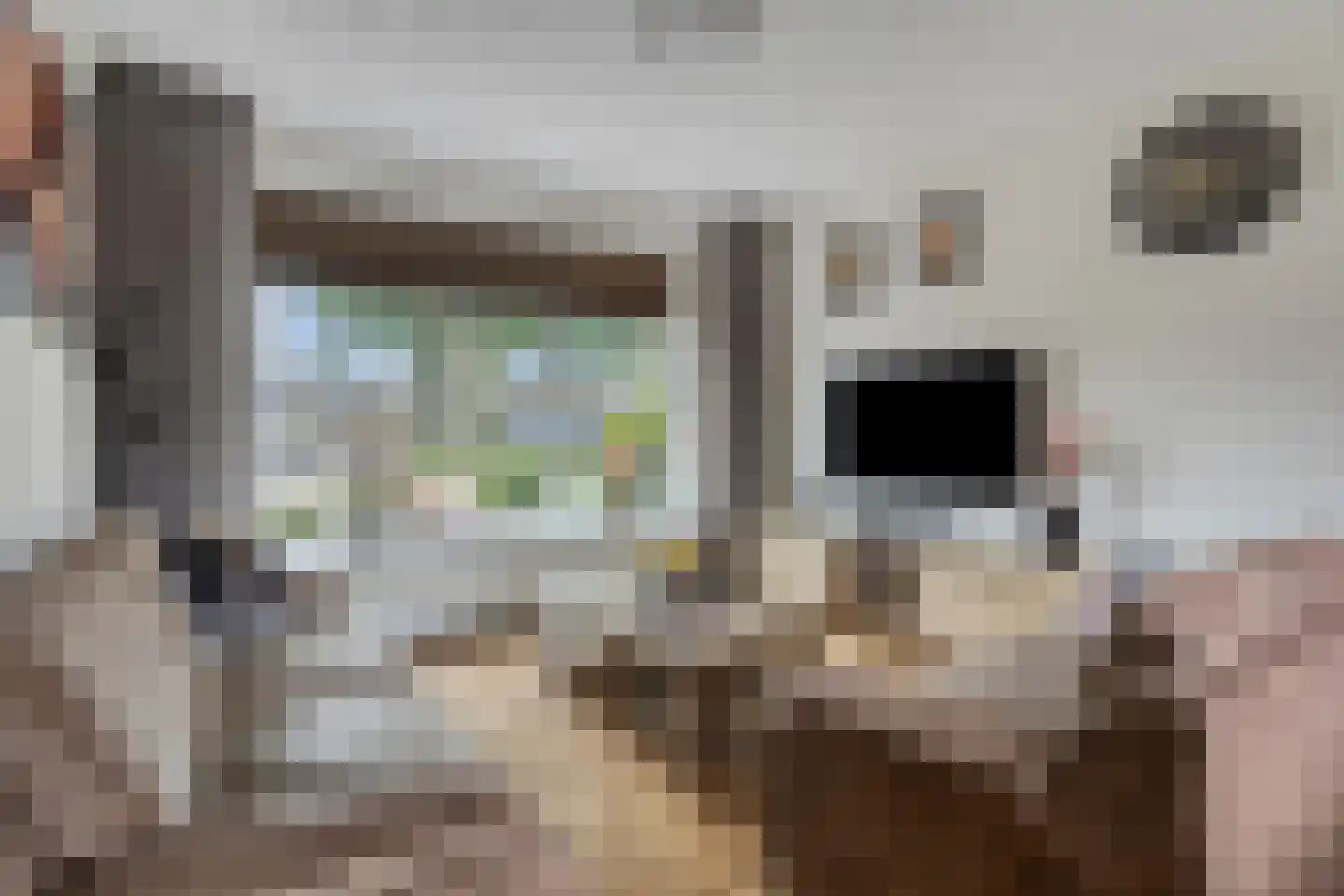 Dokter Plaslaan 43 Ammerzoden thumbnail 8