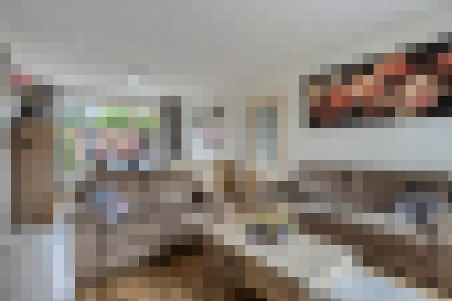 Dokter Plaslaan 43 Ammerzoden thumbnail 9