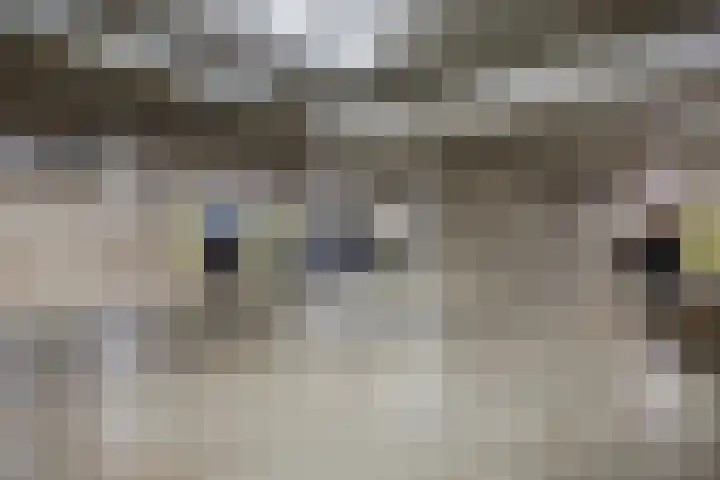 Dokter Poelsstraat 1 G Gronsveld thumbnail 28