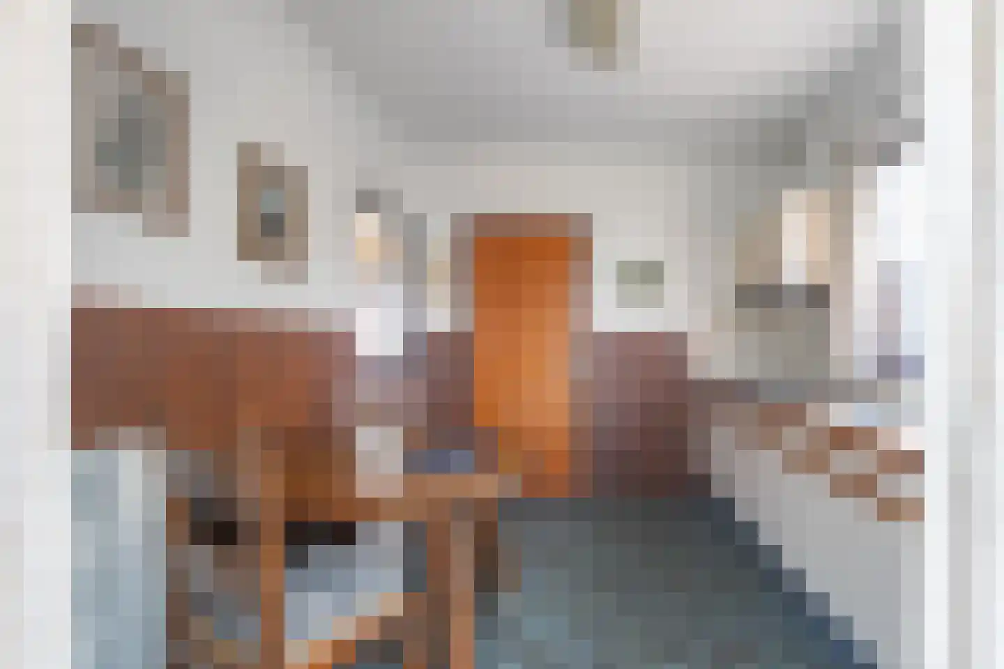 Dokter Poelsstraat 6 Gronsveld thumbnail 10