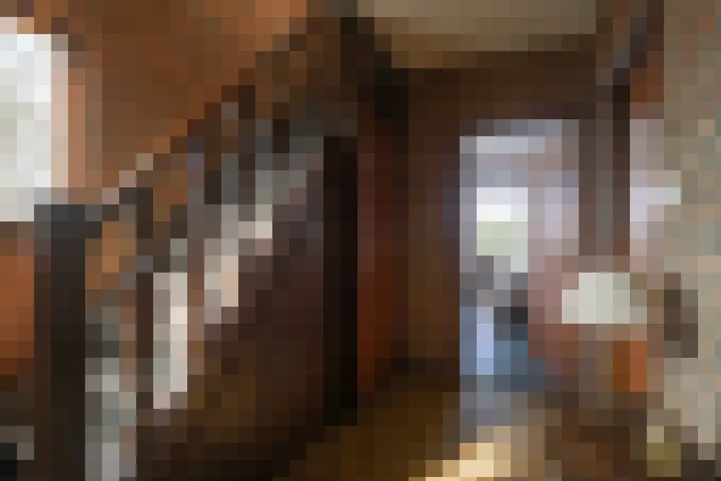 Dokter Poelsstraat 6 Gronsveld thumbnail 11