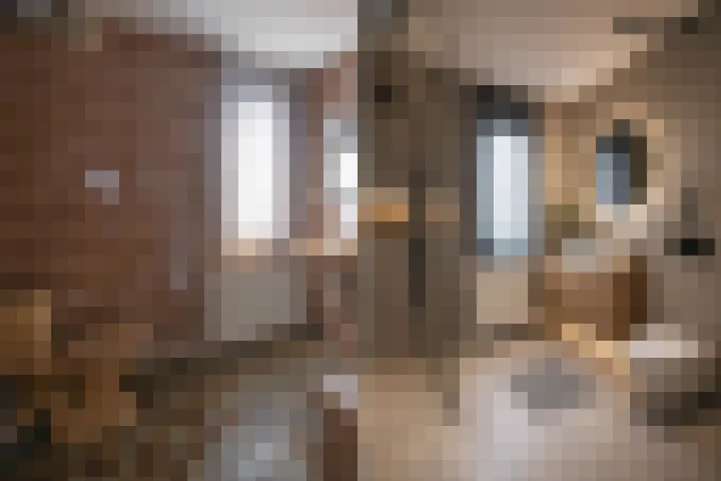 Dokter Poelsstraat 6 Gronsveld thumbnail 17