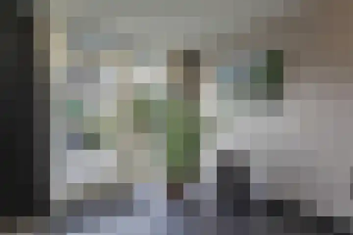 Dokter Poolstraat 106 Hoogwoud thumbnail 22