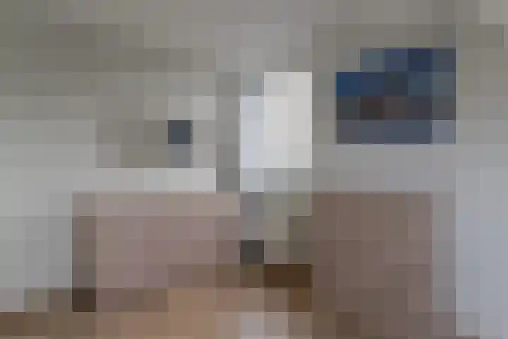 Dokter Poolstraat 106 Hoogwoud thumbnail 38