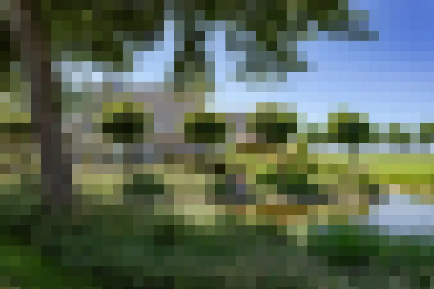 Dokter Poolstraat 17 Hoogwoud thumbnail 27