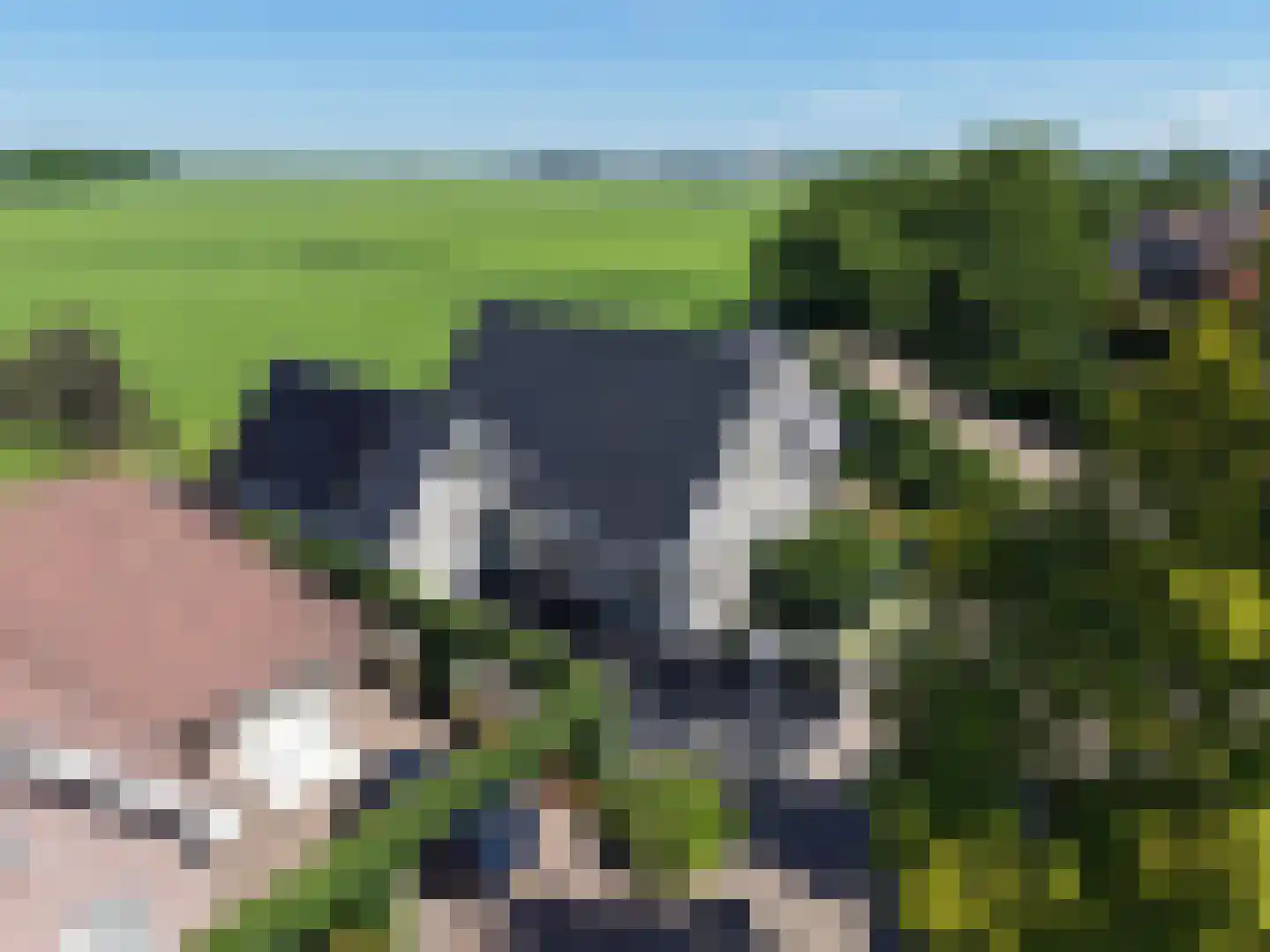 Dokter Poolstraat 17 Hoogwoud thumbnail 30