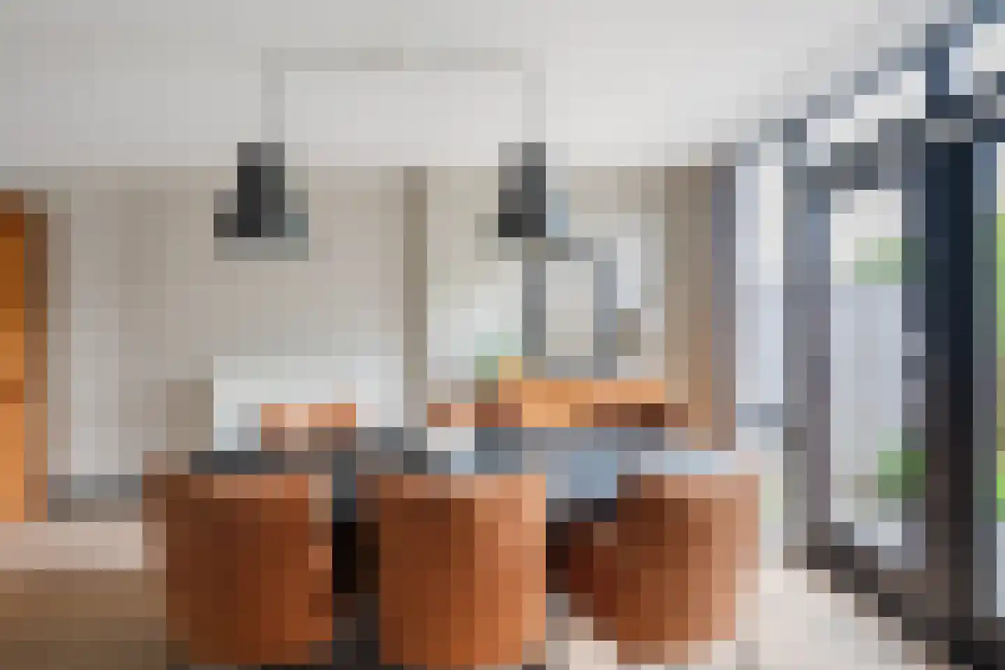 Dokter Poolstraat 22 Hoogwoud thumbnail 28