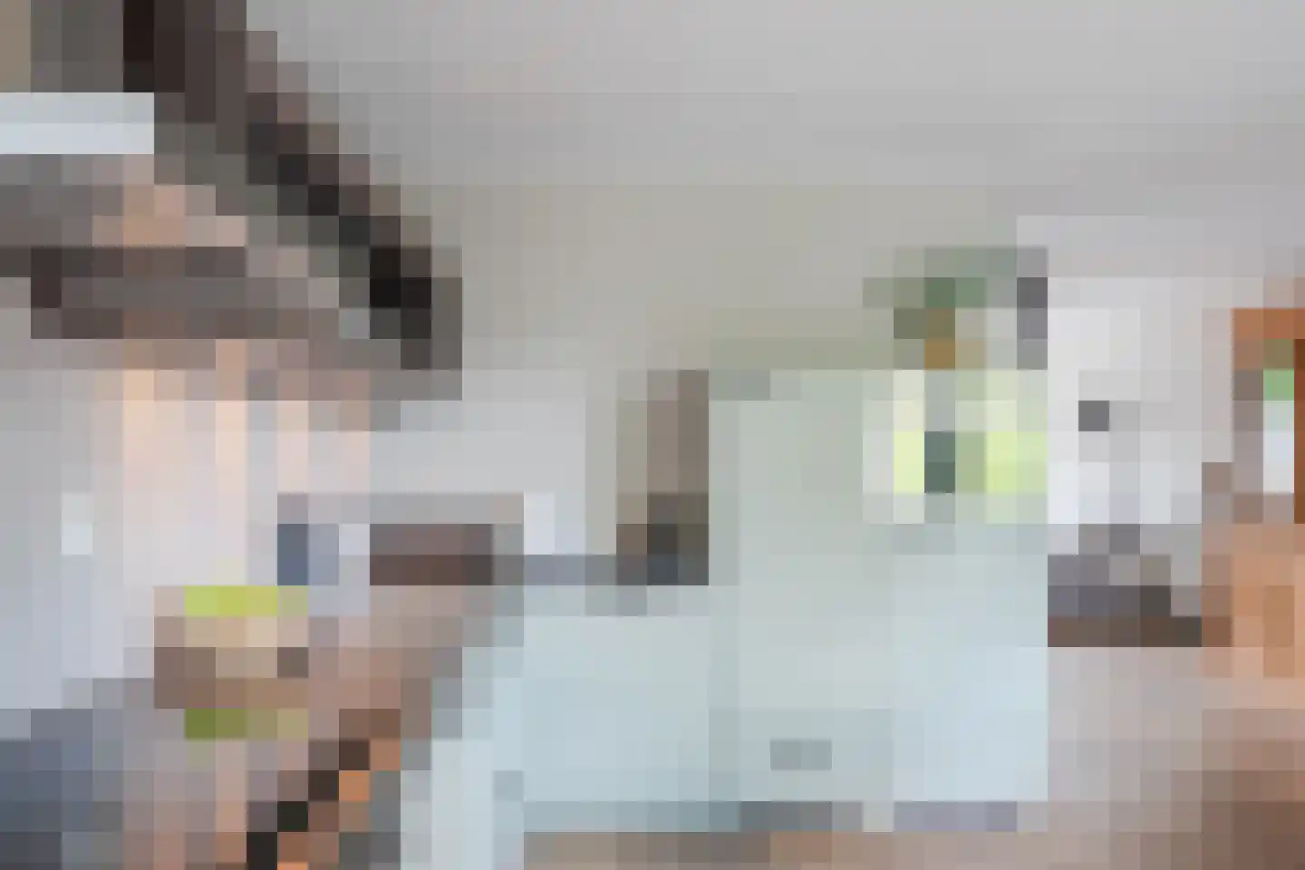 Dokter Poolstraat 22 Hoogwoud thumbnail 34