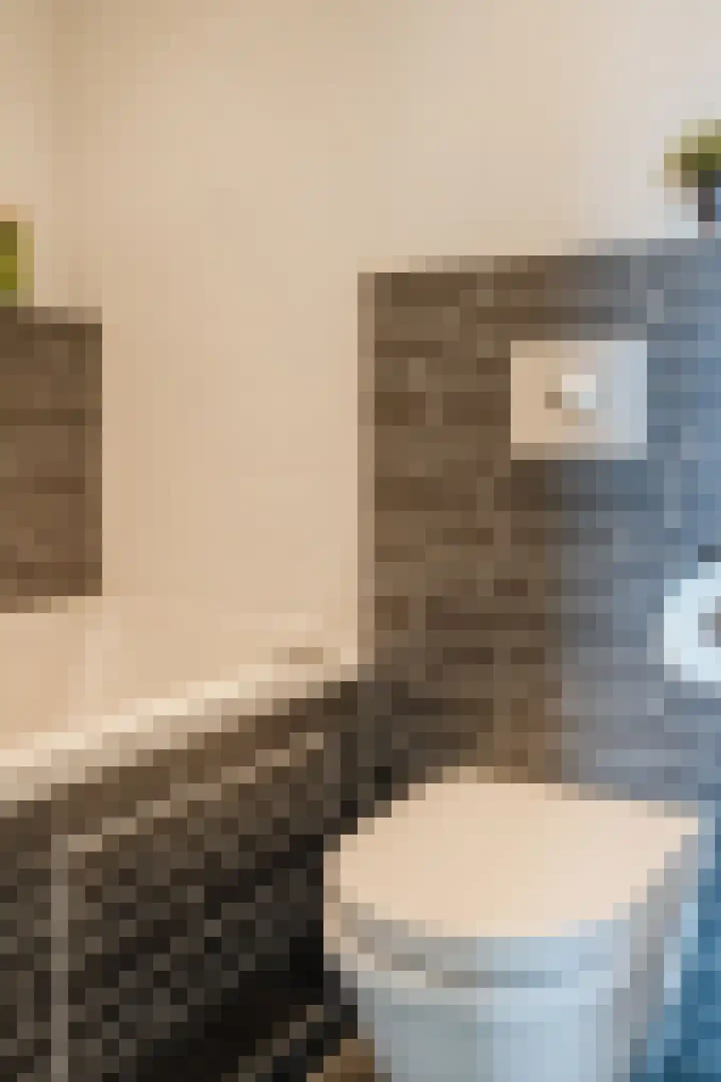Dokter Poolstraat 22 Hoogwoud thumbnail 43
