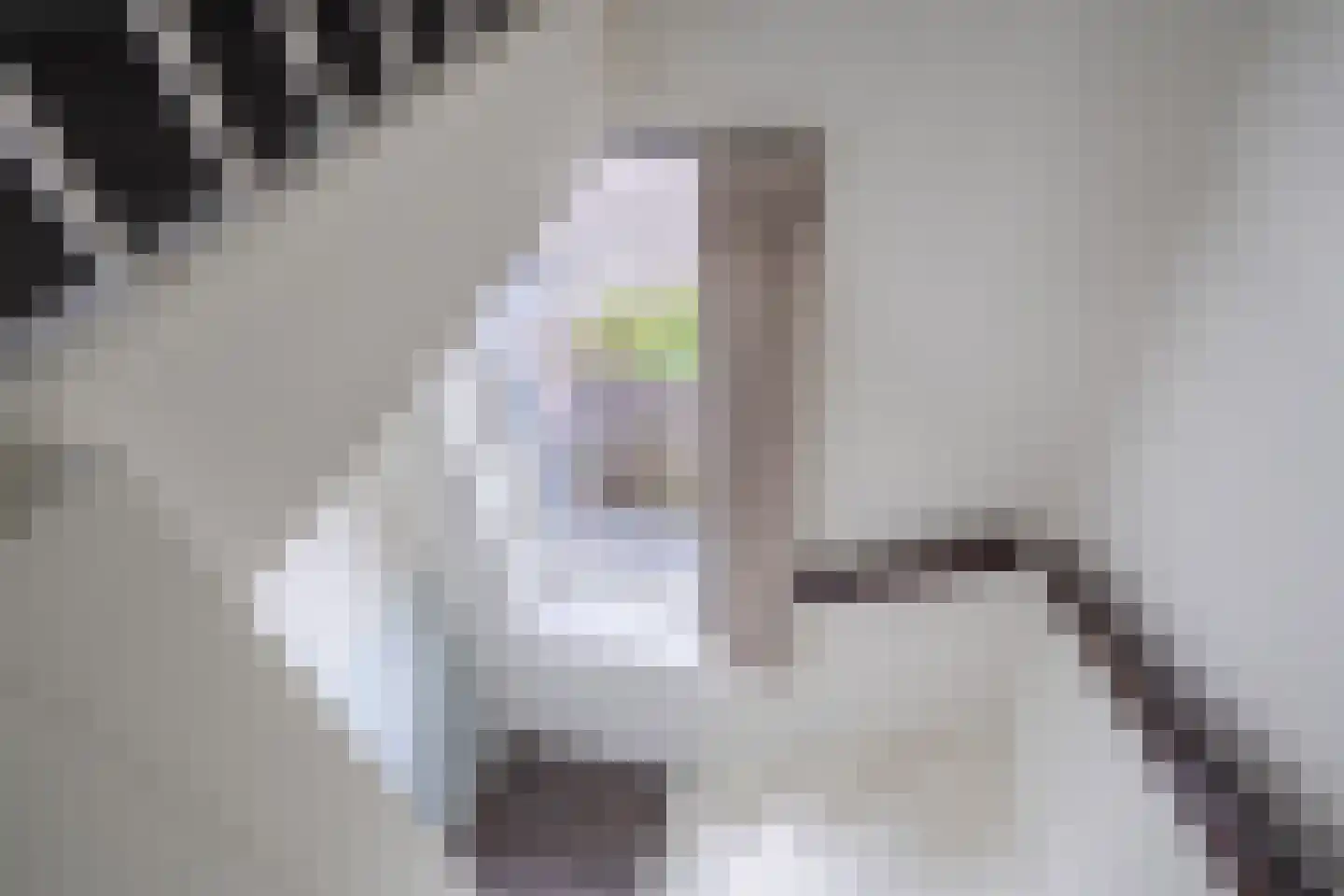 Dokter Poolstraat 22 Hoogwoud thumbnail 63