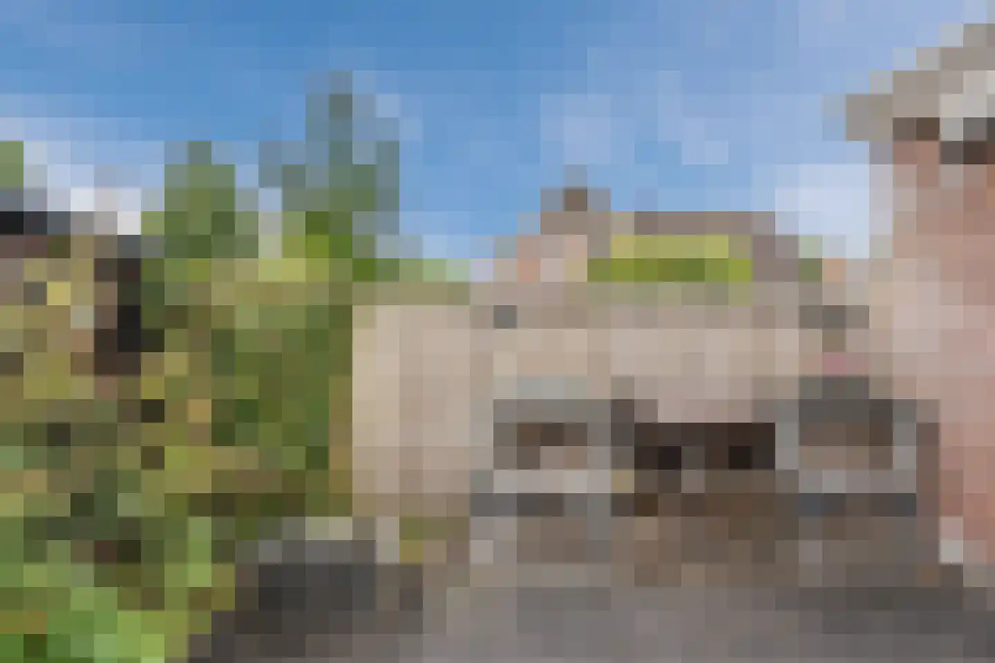 Dokter Poolstraat 22 Hoogwoud thumbnail 77