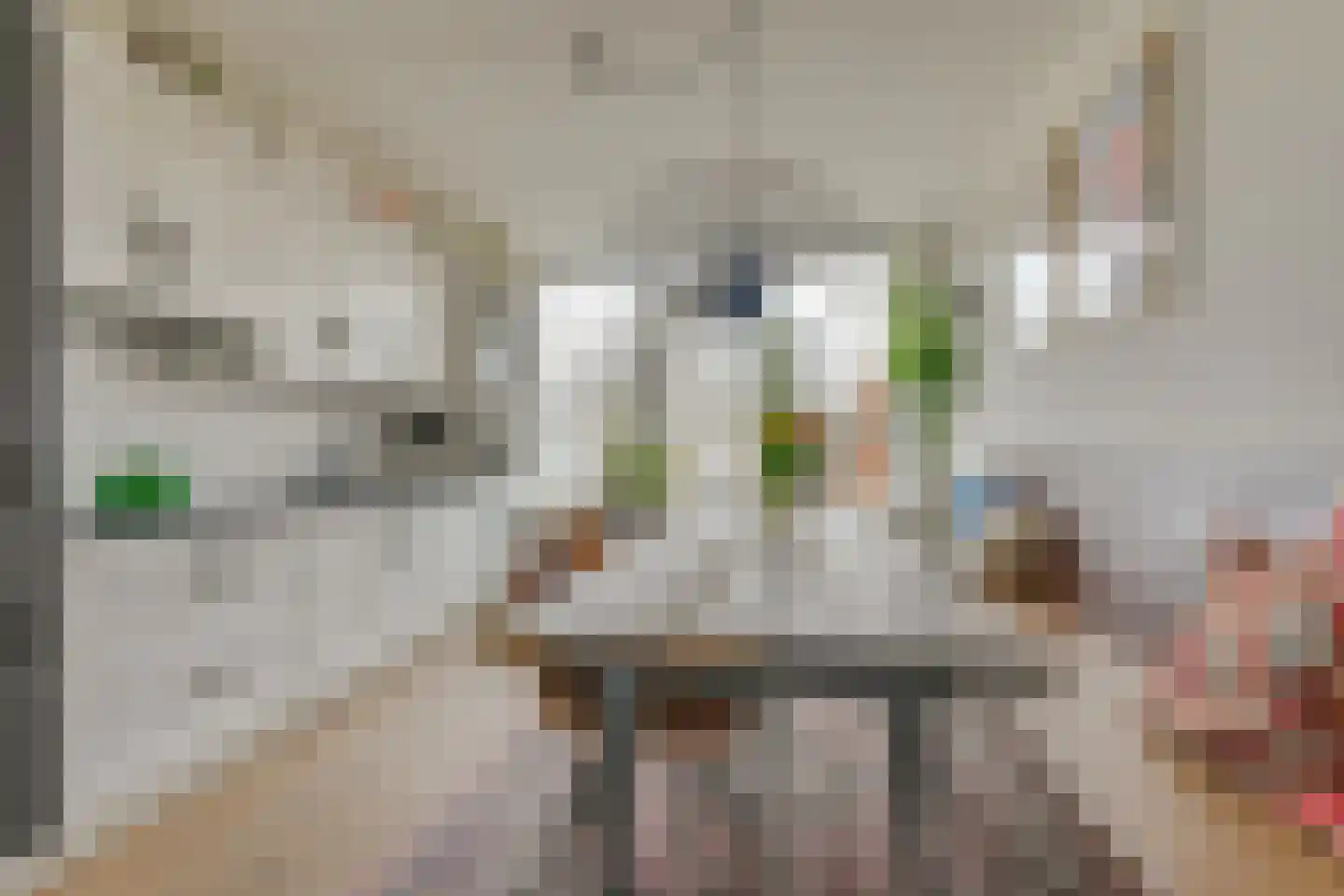 Dokter Poolstraat 72 Hoogwoud thumbnail 17