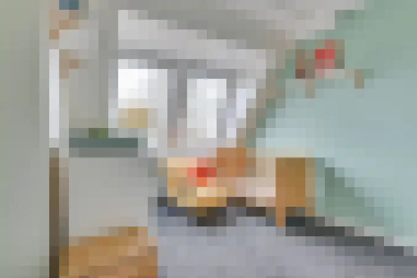 Dokter Poolstraat 72 Hoogwoud thumbnail 18
