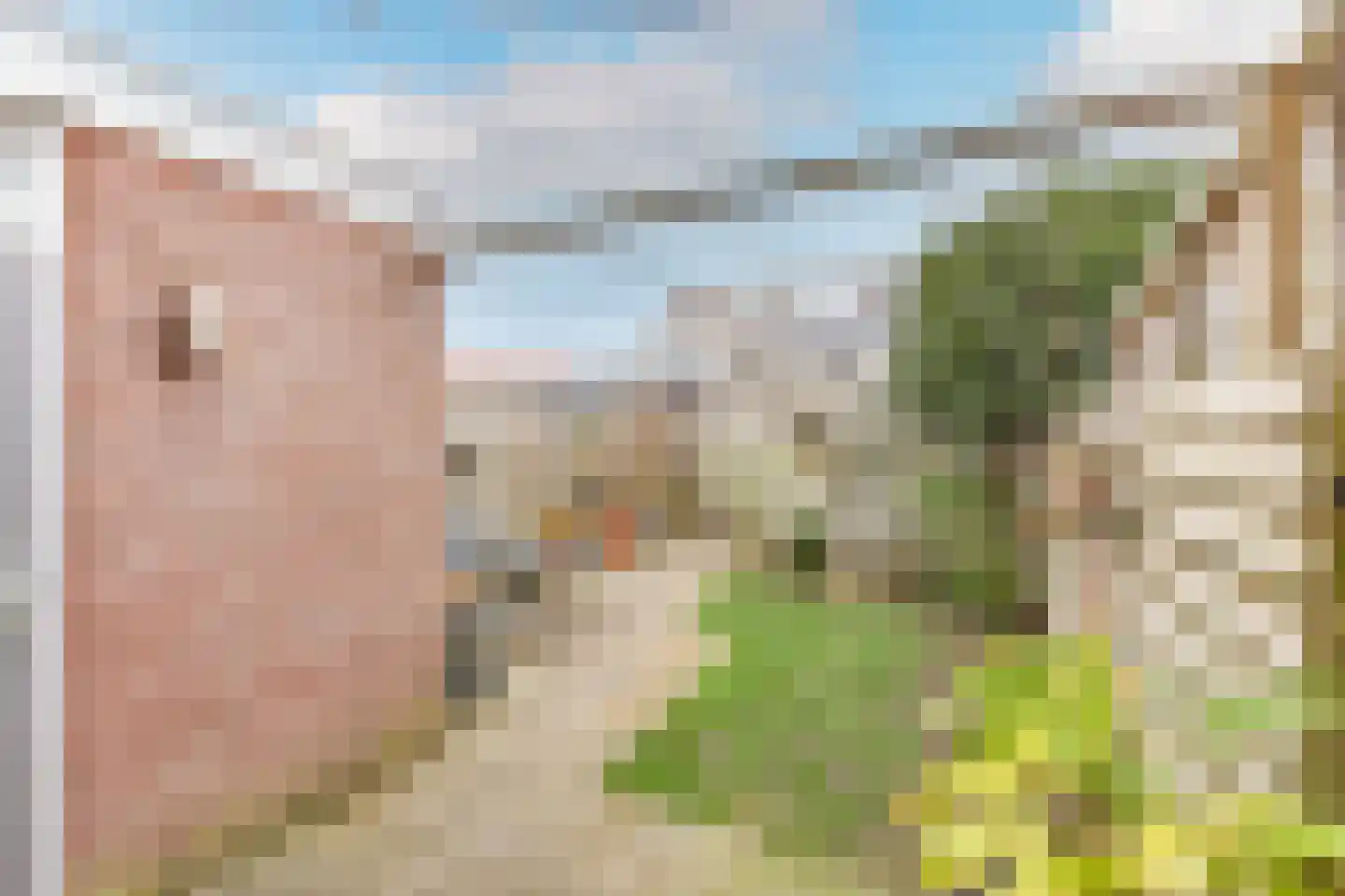 Dokter Poolstraat 72 Hoogwoud thumbnail 31
