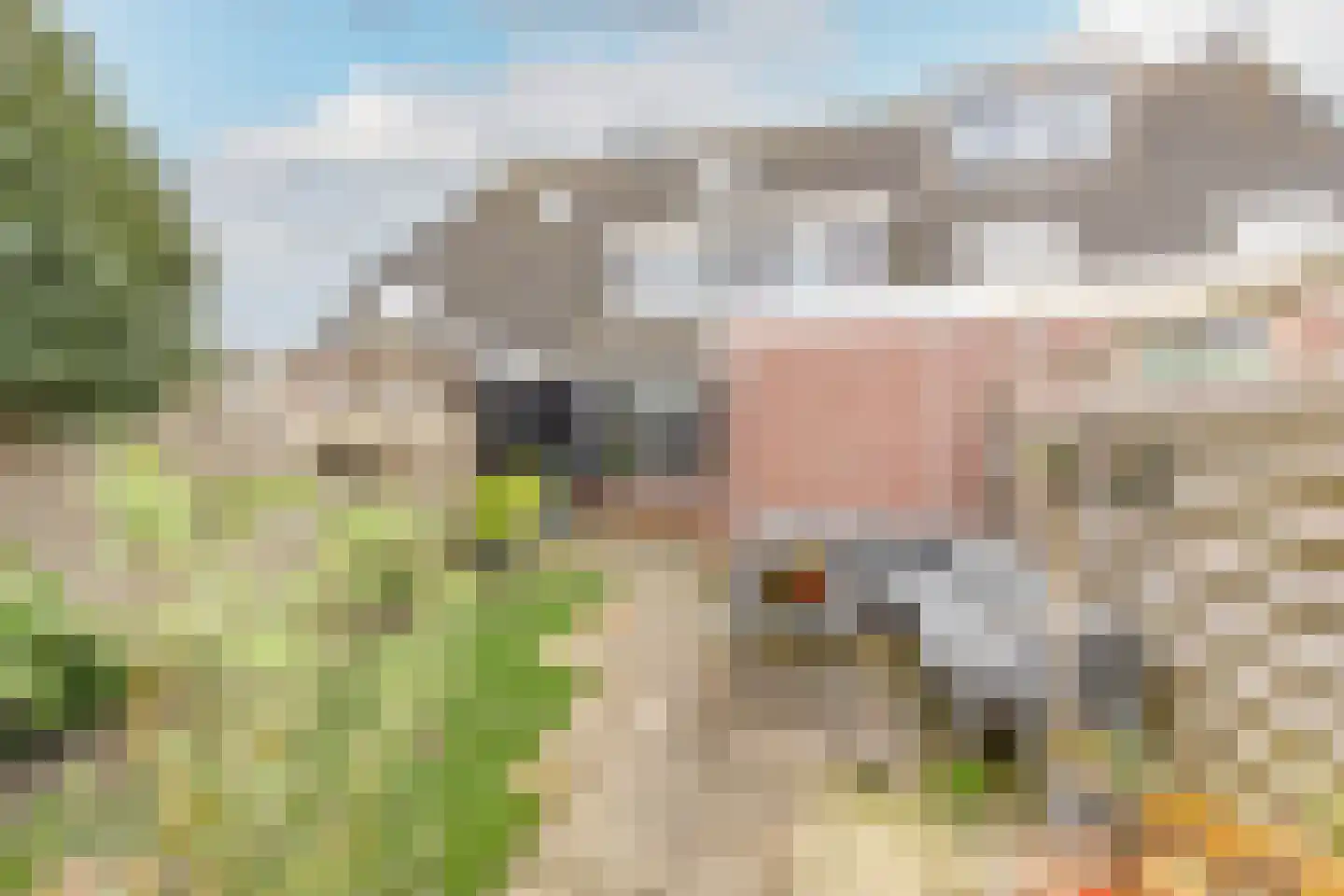 Dokter Poolstraat 72 Hoogwoud thumbnail 34