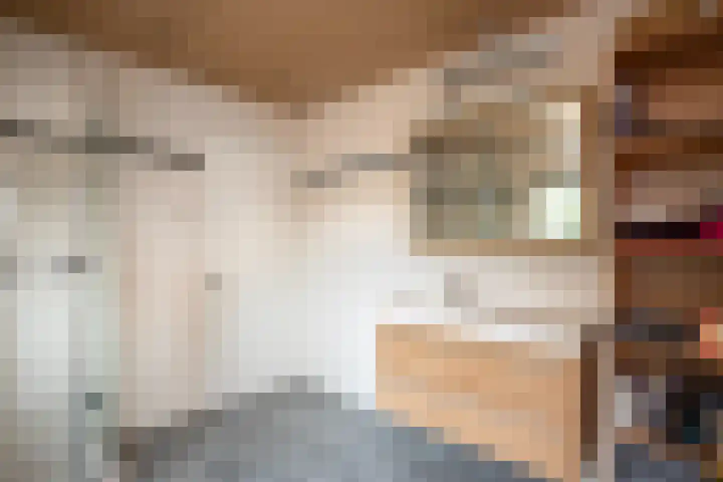 Dokter Rauppstraat 1 a Bergeijk thumbnail 16