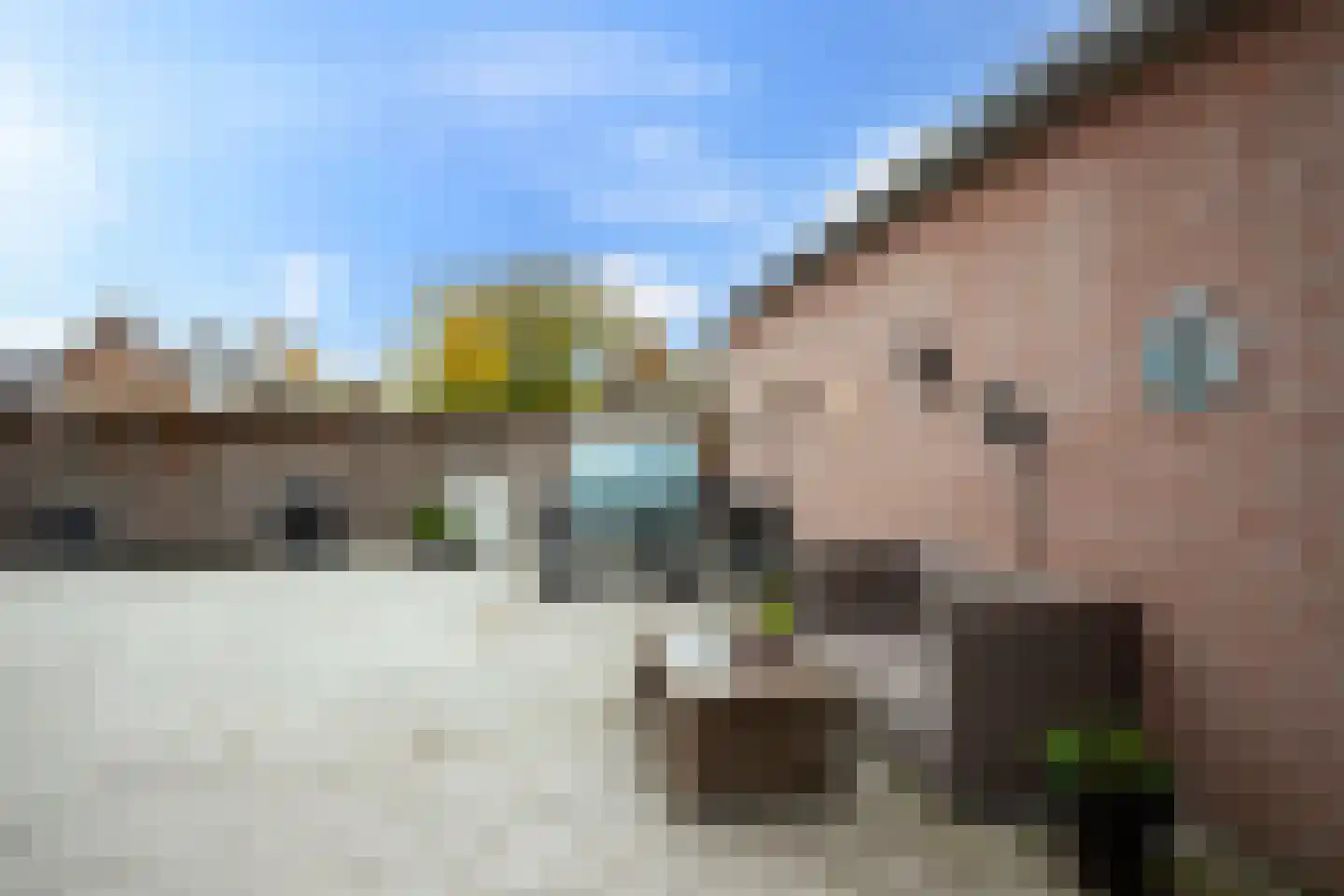 Dokter Rauppstraat 1 a Bergeijk thumbnail 25
