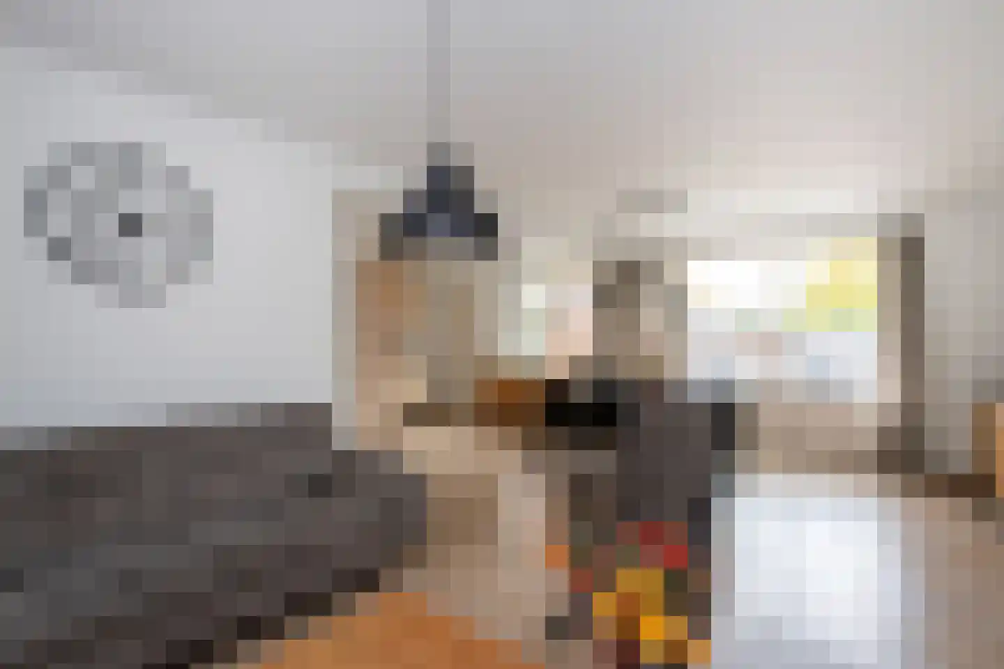 Dokter Rauppstraat 1 a Bergeijk thumbnail 5