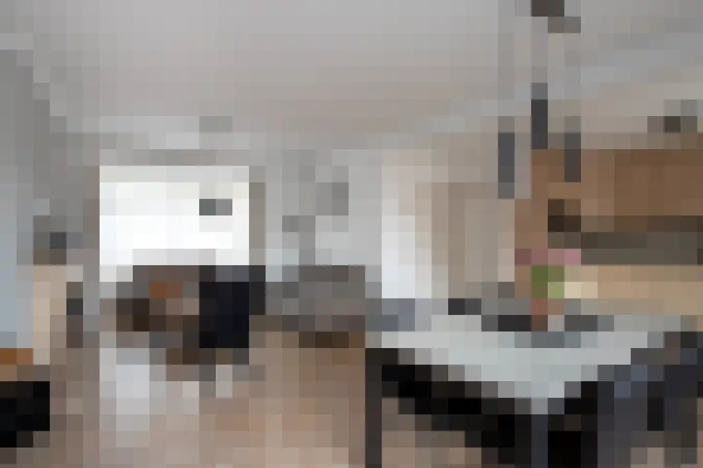 Dokter Rauppstraat 1 a Bergeijk thumbnail 7