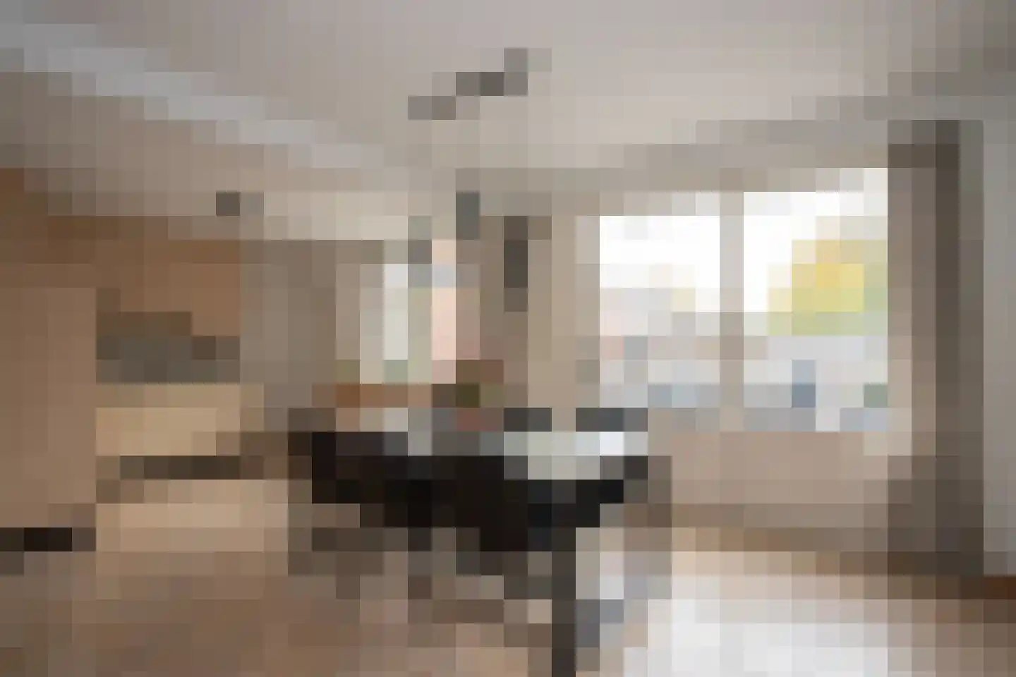Dokter Rauppstraat 1 a Bergeijk thumbnail 8