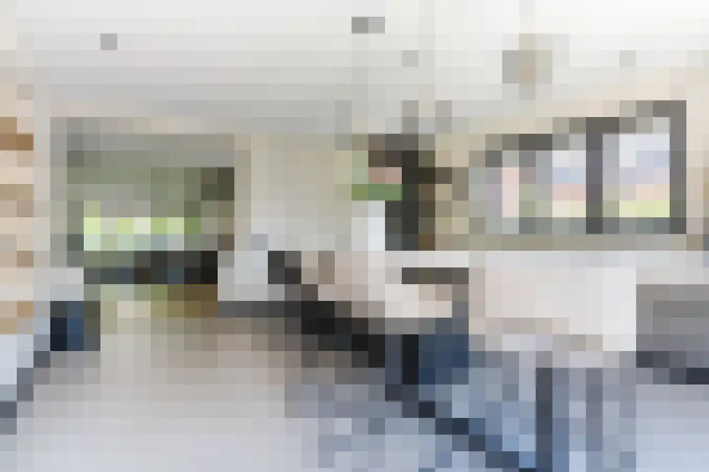 Dokter Rauppstraat 20 Bergeijk thumbnail 18