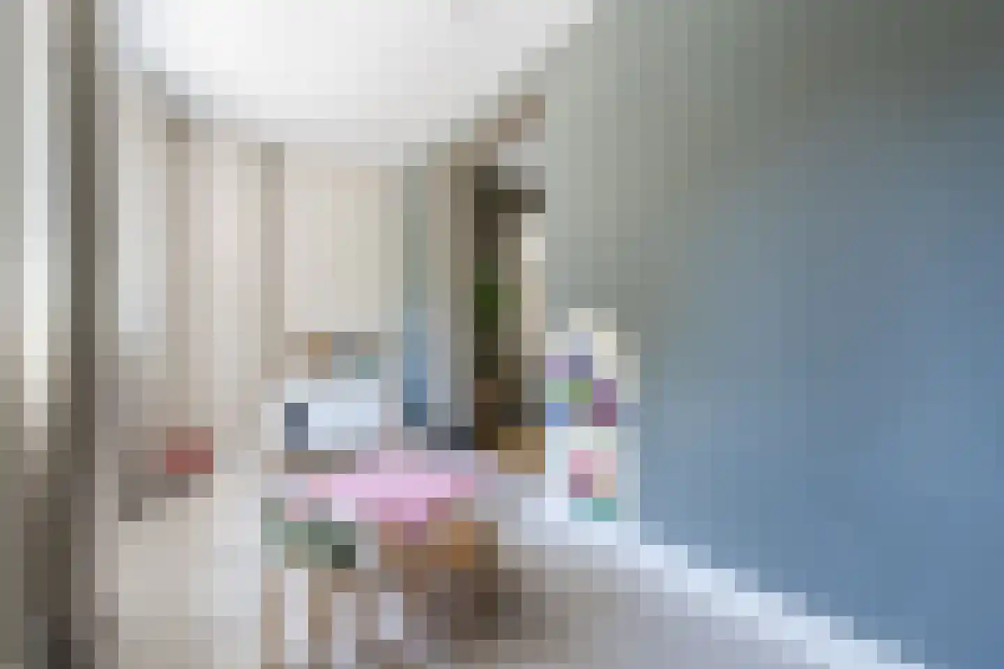 Dokter Rauppstraat 20 Bergeijk thumbnail 22