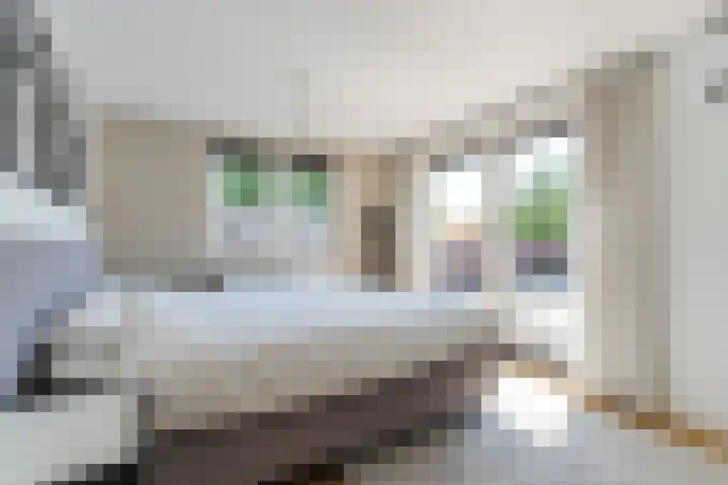 Dokter Rauppstraat 20 Bergeijk thumbnail 24