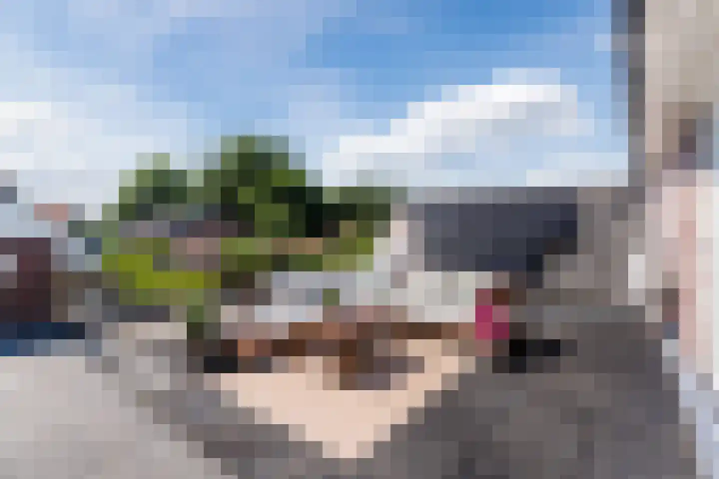Dokter Rauppstraat 20 Bergeijk thumbnail 28