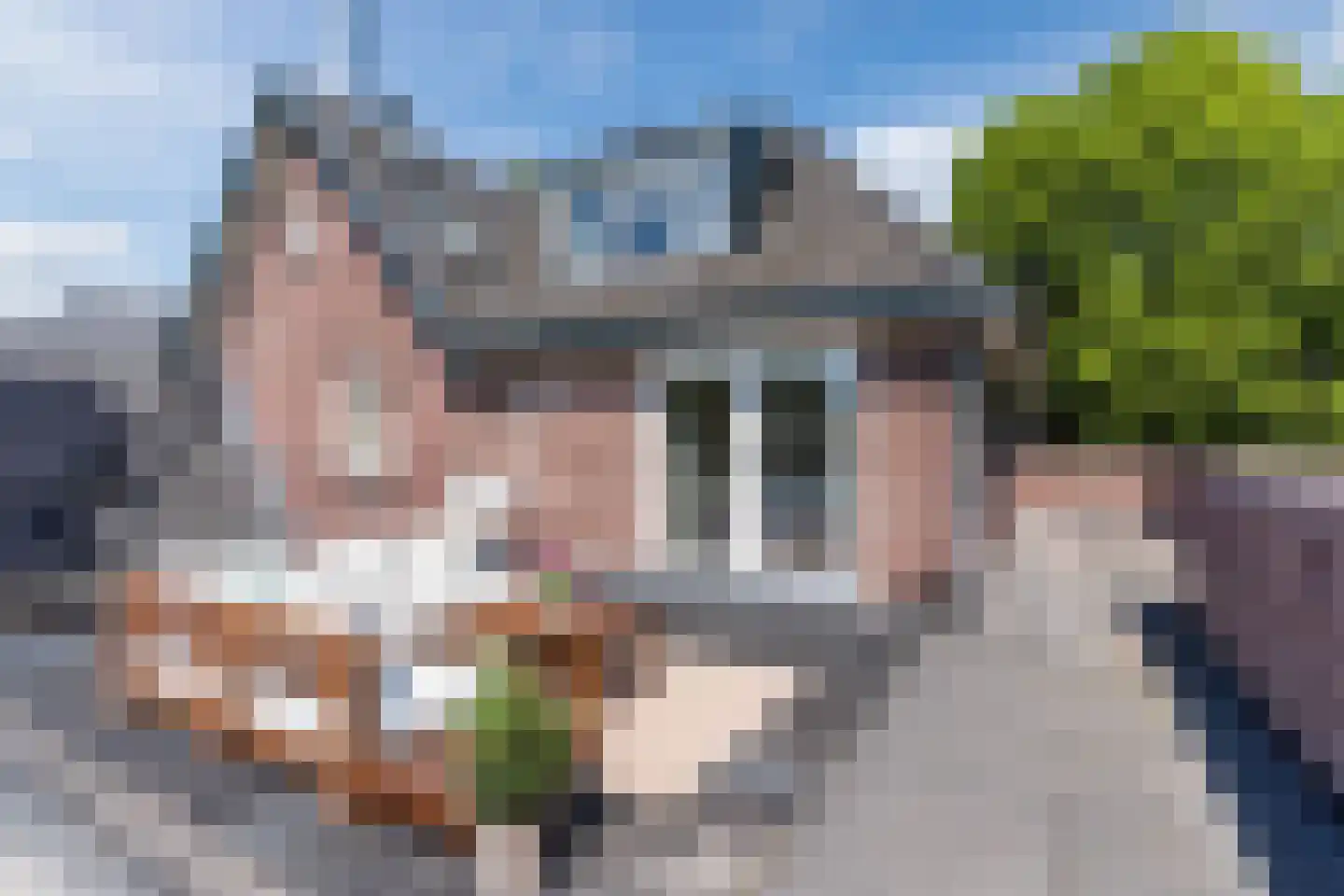 Dokter Rauppstraat 20 Bergeijk thumbnail 29